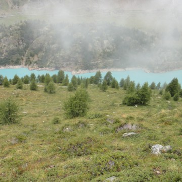 Türkismilchfarbener See
